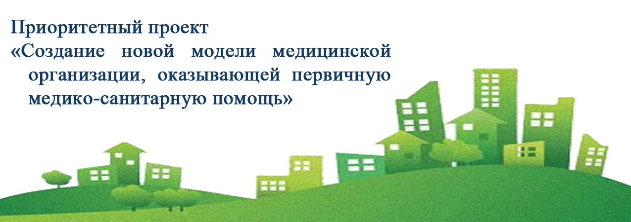 Создание новой модели медицинской организации оказывающей первичную медико санитарную помощь проект